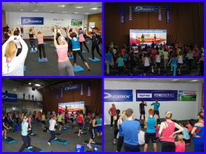 GO SPORT 2013