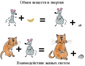 Метаболизм. Антикризисная программа