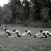 Joseph Pilates. Outside Workout (Historic video)
