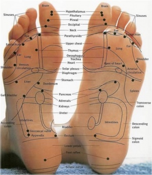 Training tips  Part 1. Feet