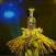 Amazing Choreography- Enjoy and Be Spellbound