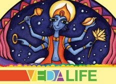 Vedalife 2012
